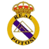 Real Potosi U19 Logo đội